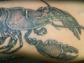 lobster tattoo by Alex
